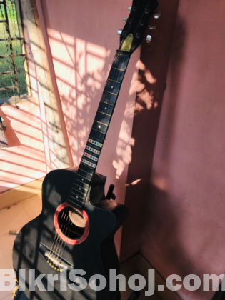 Guitar